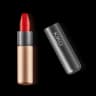 Velvet Passion Matte Lipstick 311