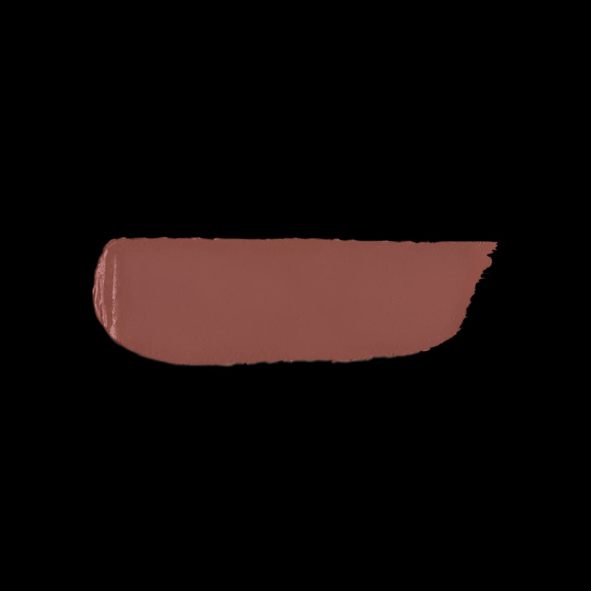 Velvet Passion Matte Lipstick 342